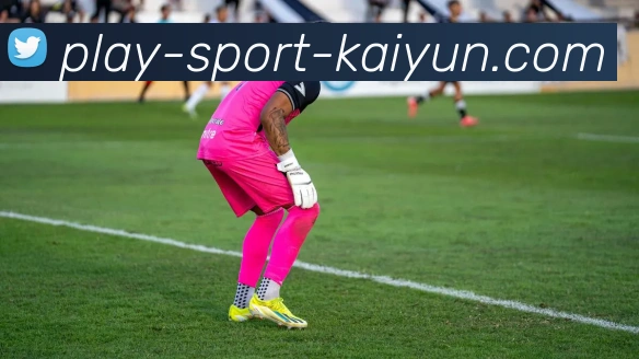 开云App服务体系